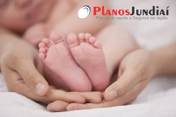 Os melhores planos para os bebês Os melhores planos para os bebês