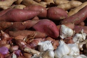 Benefícios do Inhame